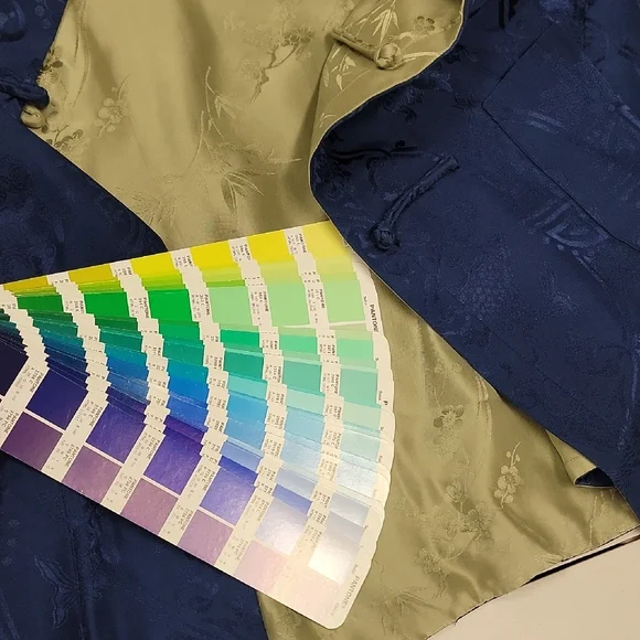 Reversible Asian Inspired Jacket Sage Green Blue Frog Closure Mandarin Collar - Picture 10 of 10